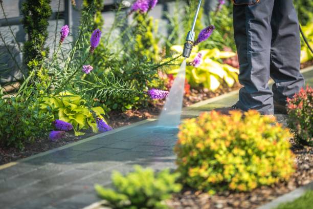 Best Dumpster Area Cleaning  in Blackhawk, SD